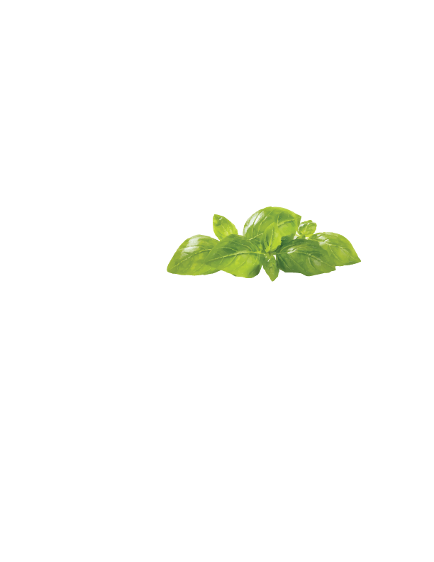 FRESH BASIL (bunch)