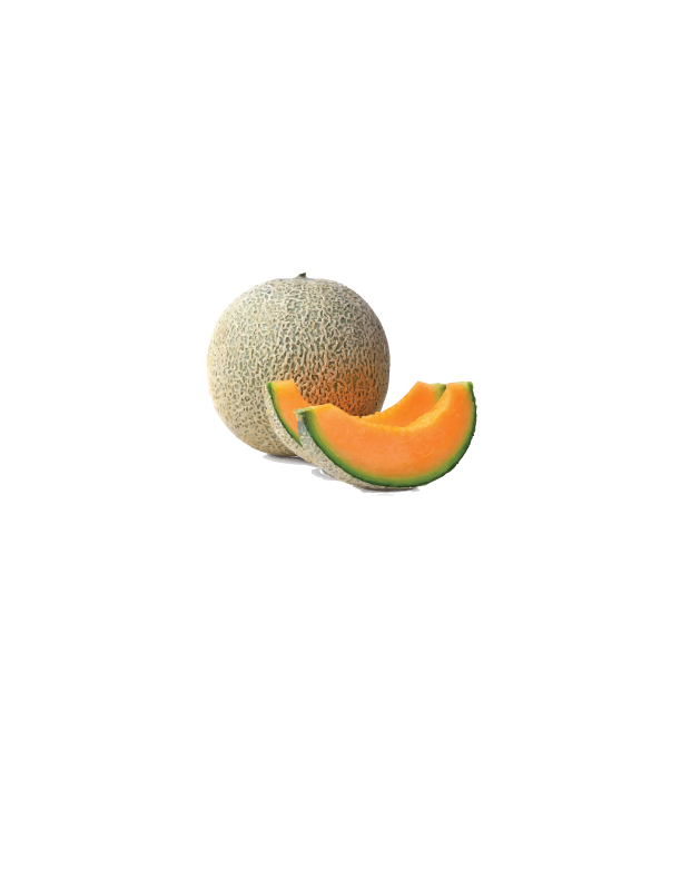 FRESH CANTALOUPE $5.50 ea 6lbs