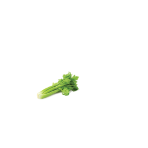 FRESH WHOLE CELERY STALKS $4 ea 1lb