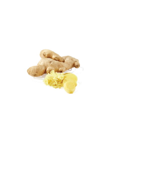 FRESH ORGANIC GINGER ROOT