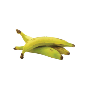 FRESH PLANTAIN 3 FOR $4 1.5lbs