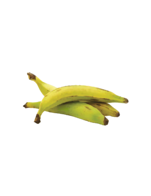 FRESH PLANTAIN 3 FOR  1.5lbs