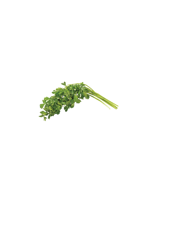 FRESH PARSLEY $4 (bunch)
