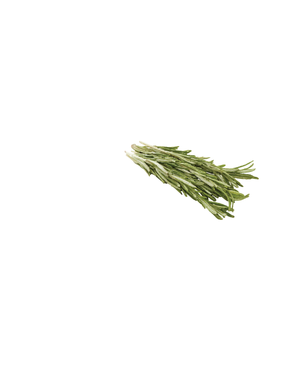 FRESH ROSEMARY $4 (bunch)