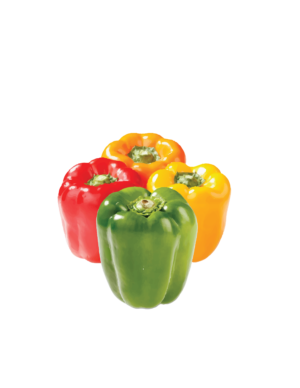 4 BELL PEPPER MEDLEY 2lbs