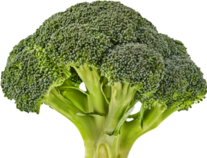 FRESH BROCCOLI .50 ea (crown)