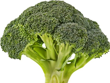 2 FRESH BROCCOLI CROWNS FOR $7.50 3LBS