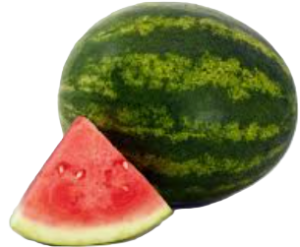 MINI WATERMELON  ea. 5lbs
