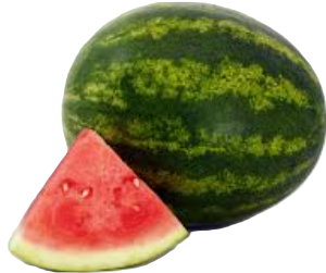 MINI WATERMELON $6 ea. 5lbs