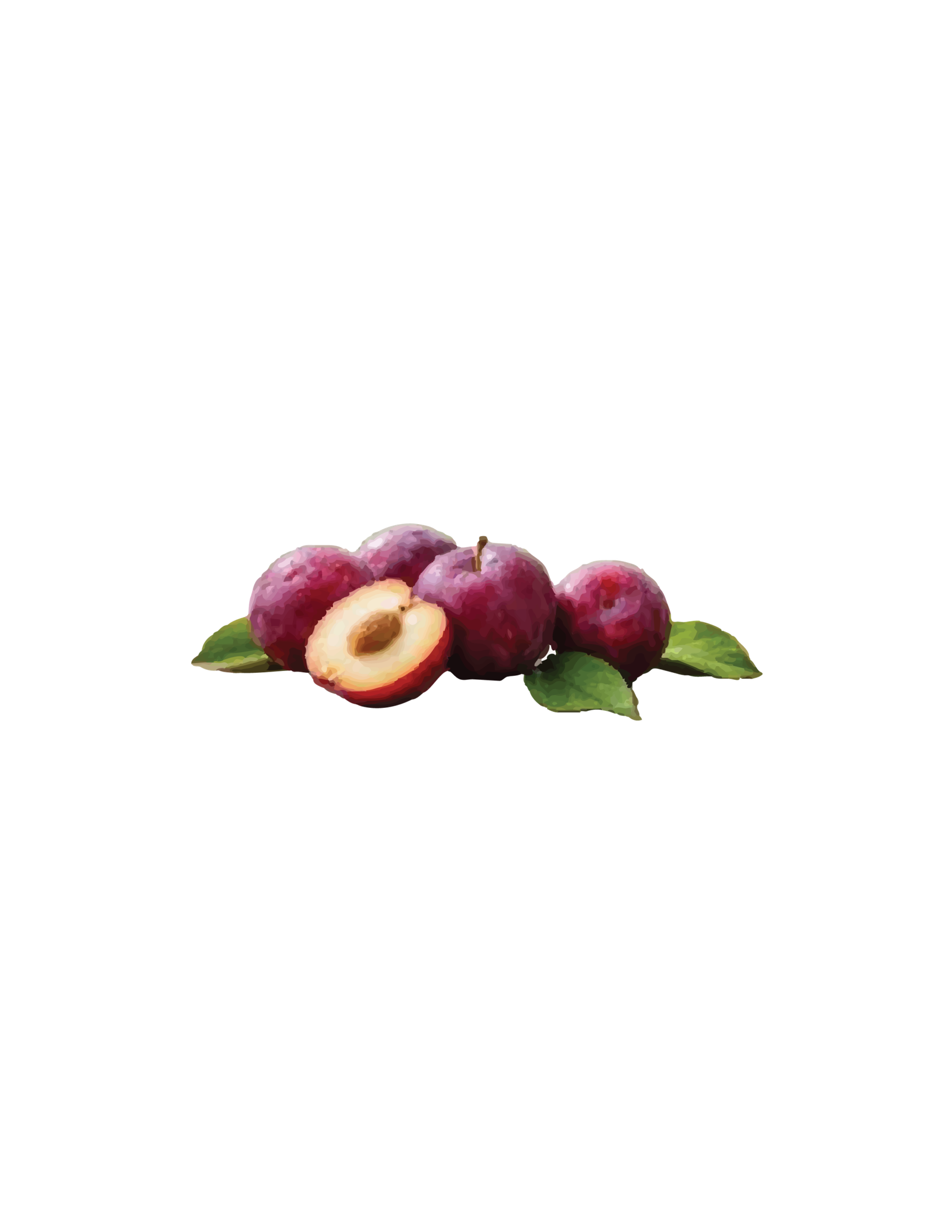 FRESH PLUMS 3 FOR $4 2lbs