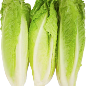 ROMAINE LETTUCE $5.50 (3 heads)