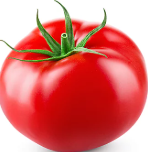 FRESH TOMATO 3 FOR .50