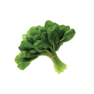 FRESH SPINACH
