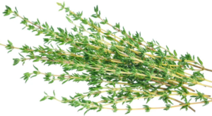 FRESH THYME  (bunch)